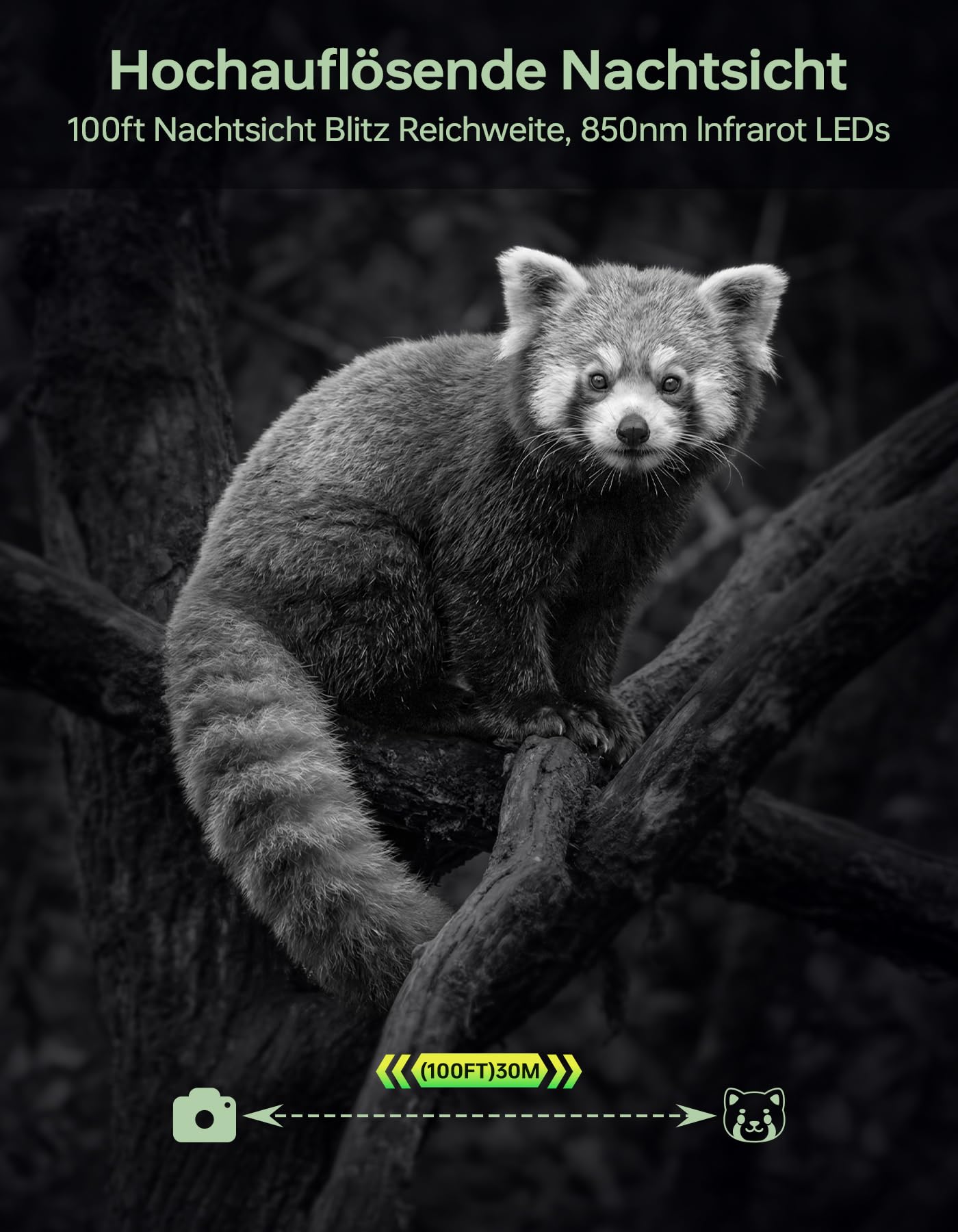 Wildkamera mit Handyübertragung App,Wildtierkamera 4K 64MP WLAN Solar mit Lithium-Batterie, Bewegungsmelder Nachtsicht, Inklusive 64GB SD Karte, 0,1s Auslösezeit, IP67 Wasserdicht