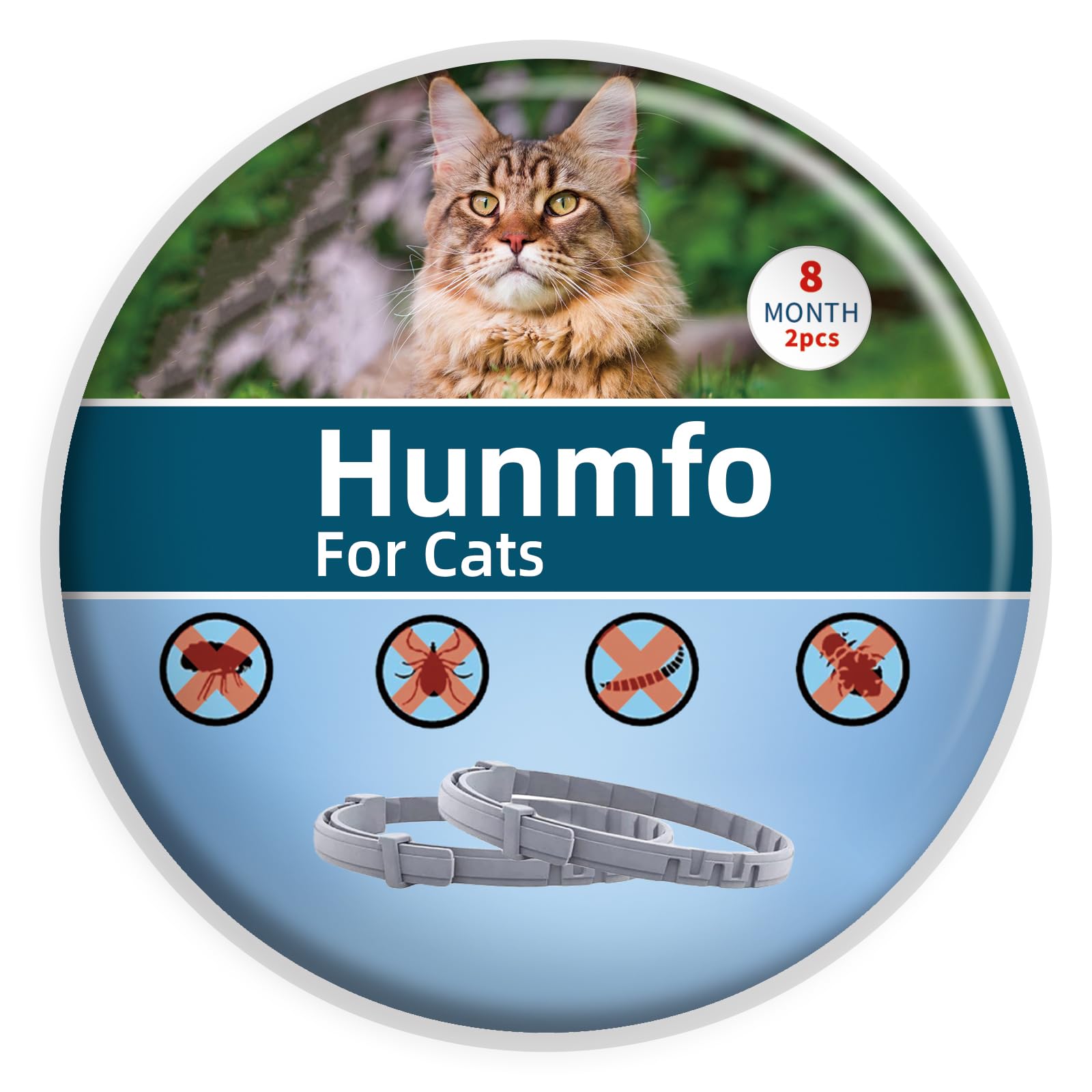 2 Collares antiparasitarios para Gatos Elimina pulgas, garrapatas, piojos y Protege del Riesgo de transmisión, hasta 8 Meses, Talla única (2 Pack)