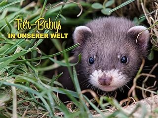 Tier-Babys - In Unserer Welt