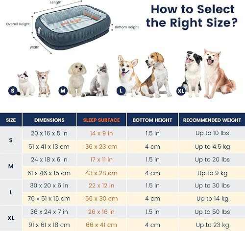 Miniatura 6 de Camas ortopédicas para gatos de interior, sofá de espuma viscoelástica para mascotas con lados de refuerzo, cama ovalada, funda extraíble lavable y