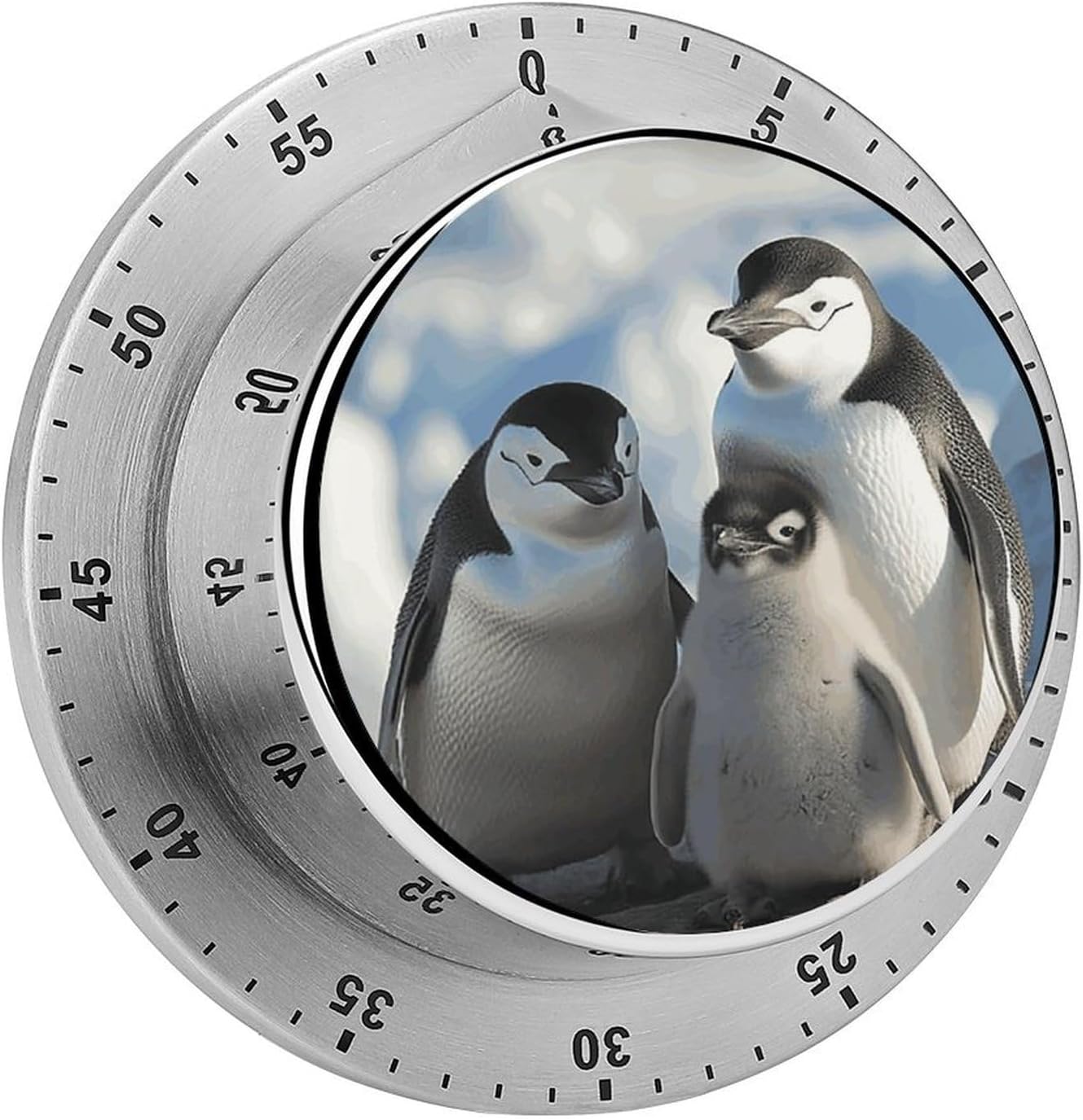 Stainless Steel Mechanical Kitchen Timer, Sturdy Digital Timer
