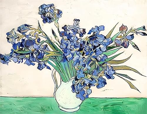 NIHO-JIUMA Kit de pintura de diamantes 5D Van Gogh Lris, regalo de arte de diamantes de taladro completo para adultos, decoración del hogar (16 x 20
