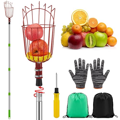 19.5ft Adjustable Fruit Picker Pole with Basket Telescoping, Fruit Picker