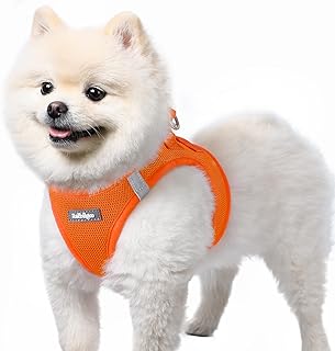 rabbitgoo Hundegeschirr kleine Hunde, Step-in Soft Mesh Hundegeschirr mit Sicherheitsverschluss, atmungsaktives und reflektierendes Welpengeschir für kleine Hunde, Orange S product image