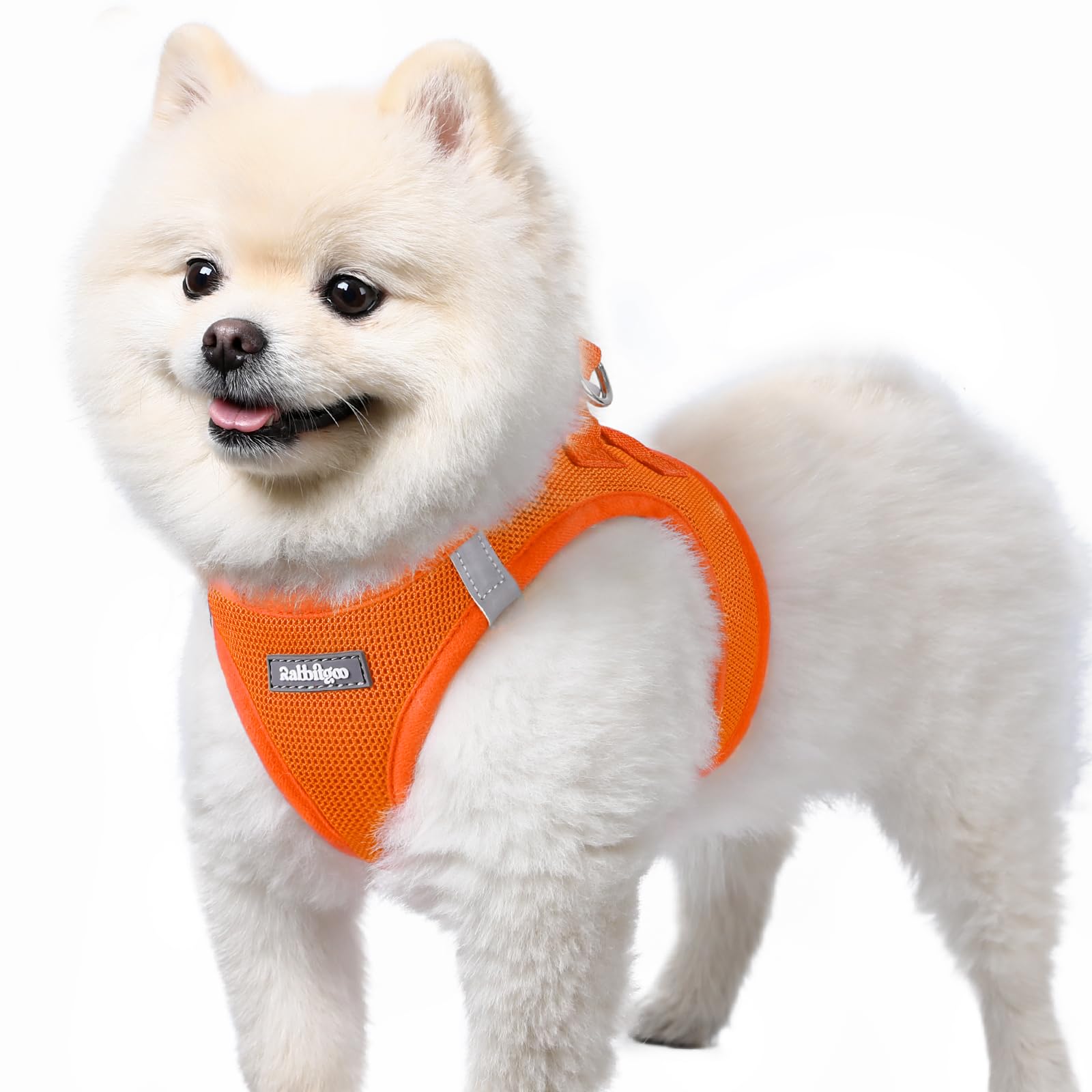 rabbitgoo Hundegeschirr kleine Hunde, Step-in Soft Mesh Hundegeschirr mit Sicherheitsverschluss, atmungsaktives und reflektierendes Welpengeschirr für kleine Hunde