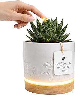 Magic Plantern® – Real Plant Leaf Touch-Activated Dimmable Table Lamp 6