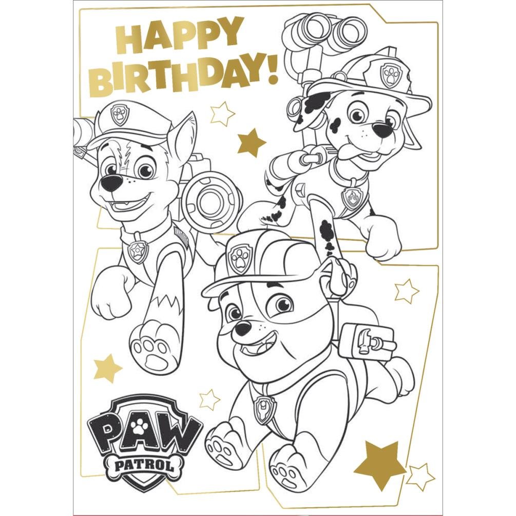 Danilo Promotions Paw Patrol Geburtstagskarte – Für Neffen, Kindgerechtes Design Für Besondere Glückwünsche