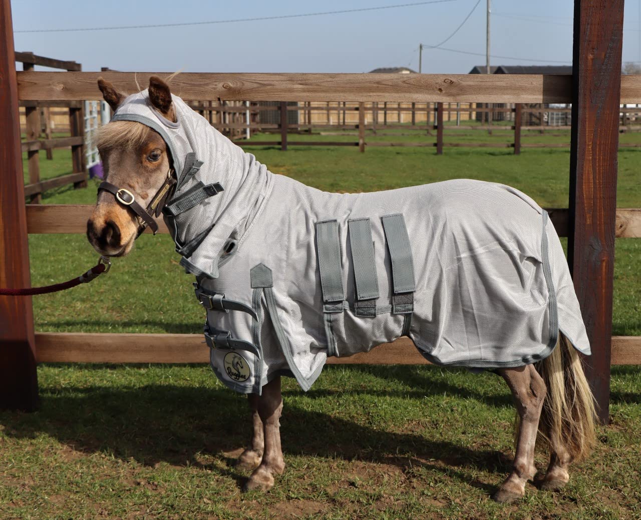 Ruggles Combo Fly Rug For Shetland Pony, Donkey, Miniature Horse | With Ear Holes | Excellent Protection From Bugs, Flies and Biting Insects (3' 3")