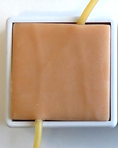 Modelo de práctica de infusión intravenosa, almohadilla para la piel de práctica de inyección intravenosa, kit para estudiantes de enfermería y