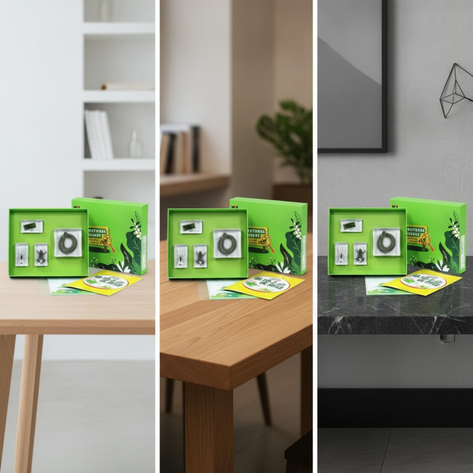 harayaa Especimen Educativo Infantil Kit Científico Set Colección Resina con Fichas Aprendizaje y Hojas Caja con Bandeja Verde, Historia De Crecimiento Del Pequeño Cangrejo