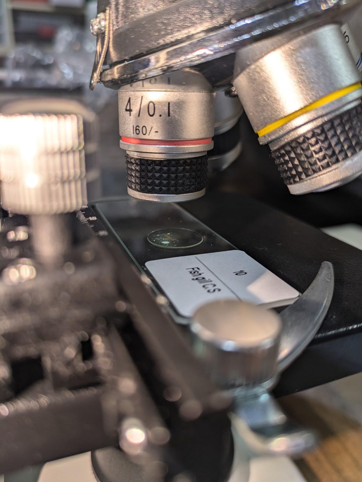 For the hobbyist, starter microscope