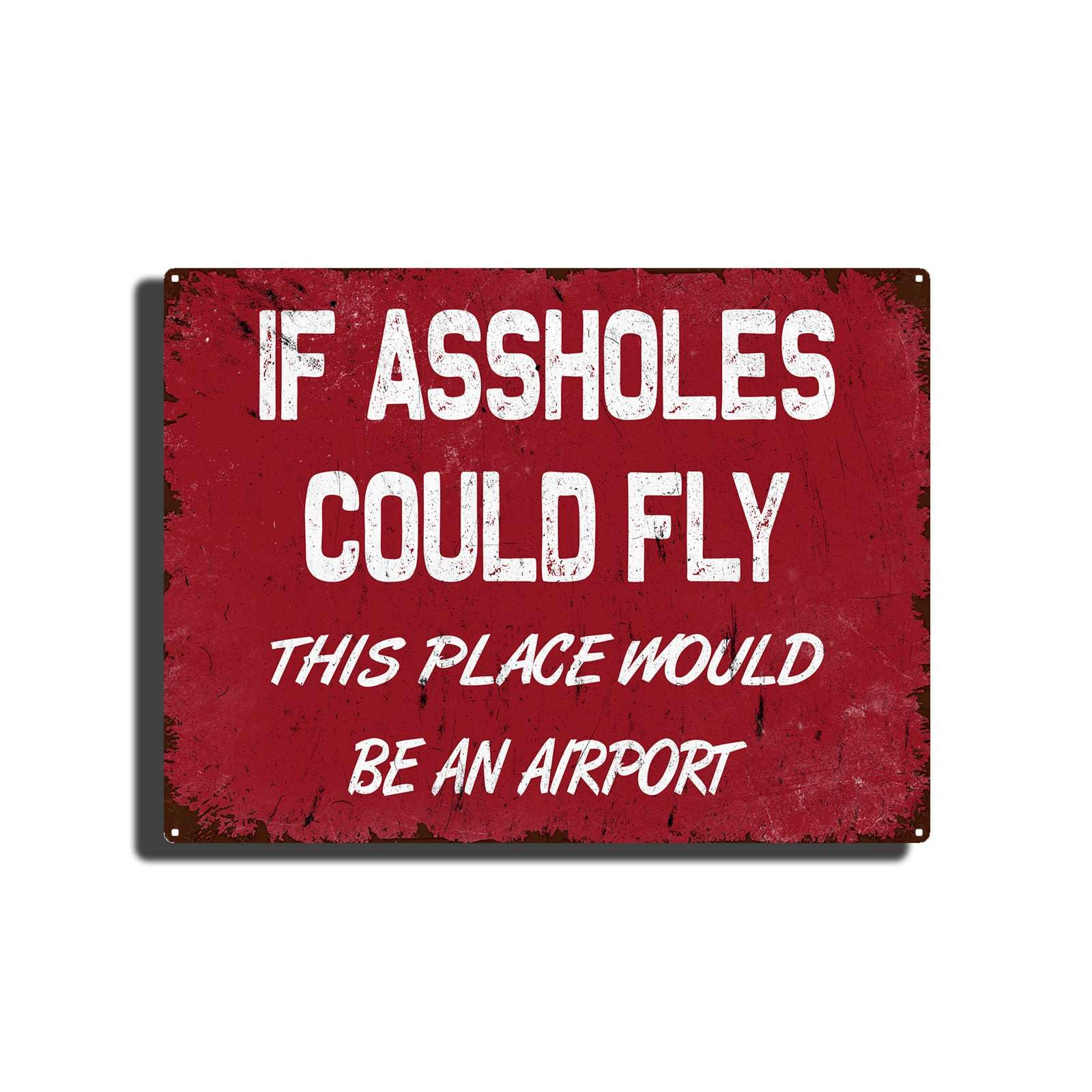 SMAZDFXX Tin Signs If Assholes Could Fly This Place Would Be An Airport,Vintage Garage Bar Patio Decor,Funny Sarcasm Wall Decor,Best for New Year Tin Painting 5.5"x8"