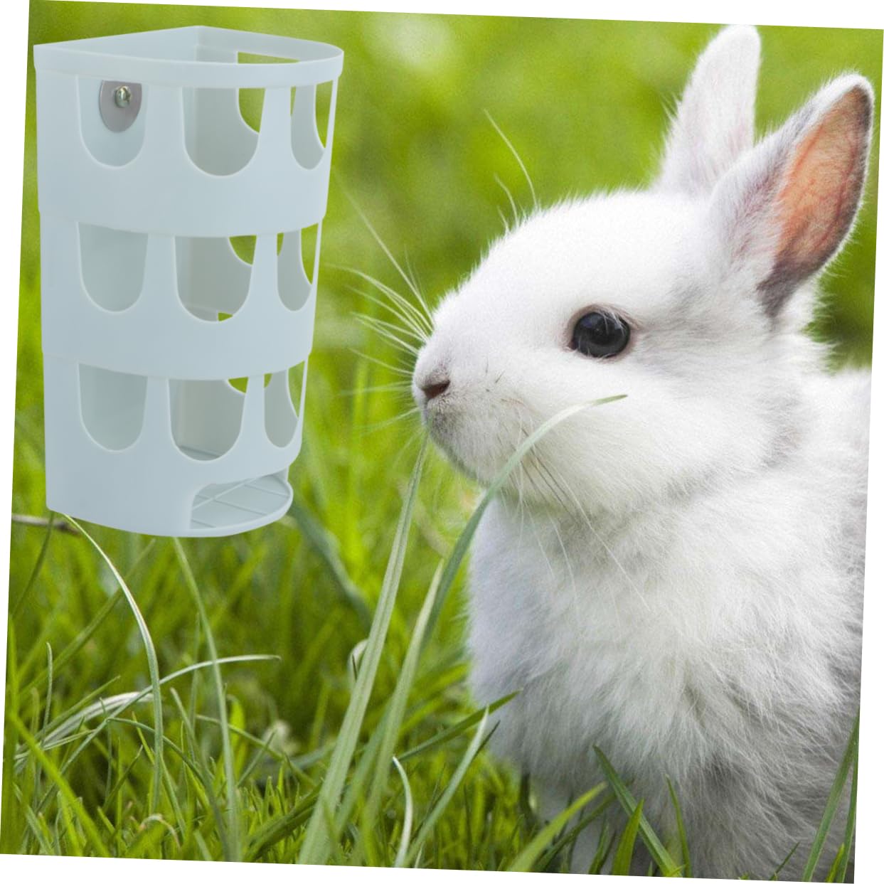 VANZACK 3piezas Comedero De Plástico para Conejos y Aves Base Fija Alimentador Práctico para Roedores y Chinchillas Color Aleatorio
