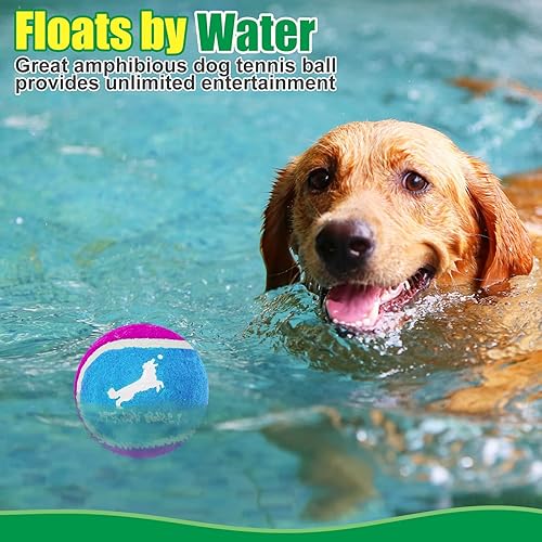 Miniatura 6 de EXPAWLORER Pelotas de tenis chirriantes para perros, paquete de 12 pelotas de perro de alta elasticidad para masticadores agresivos, juguetes