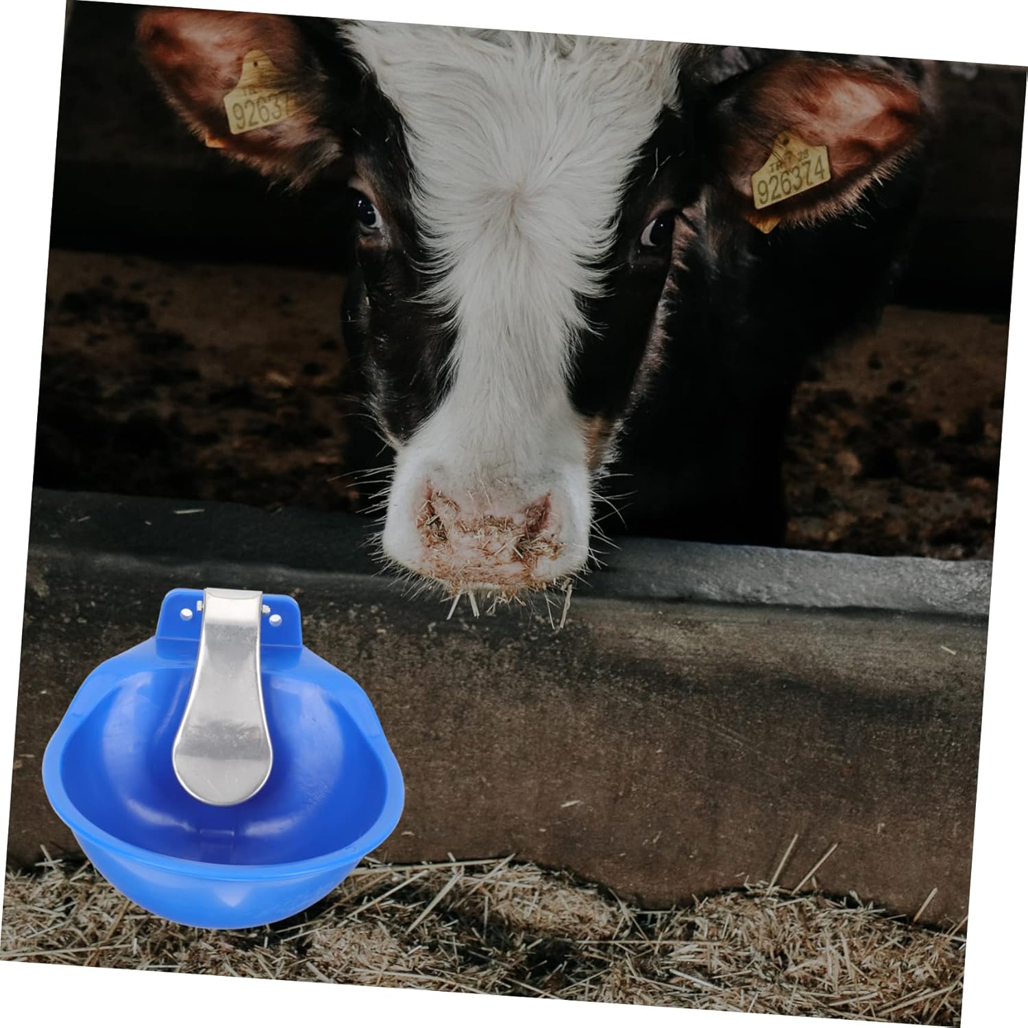 Automatic Cow Drinking Water Bowl Dispenser Livestock Waterer Capacity for Cattle Goats and Pigs Easy to Install and Safe for Animals