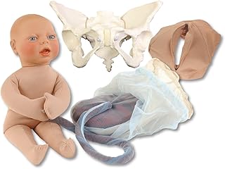 Flexible Pelvis Childbirth Model Set Beige