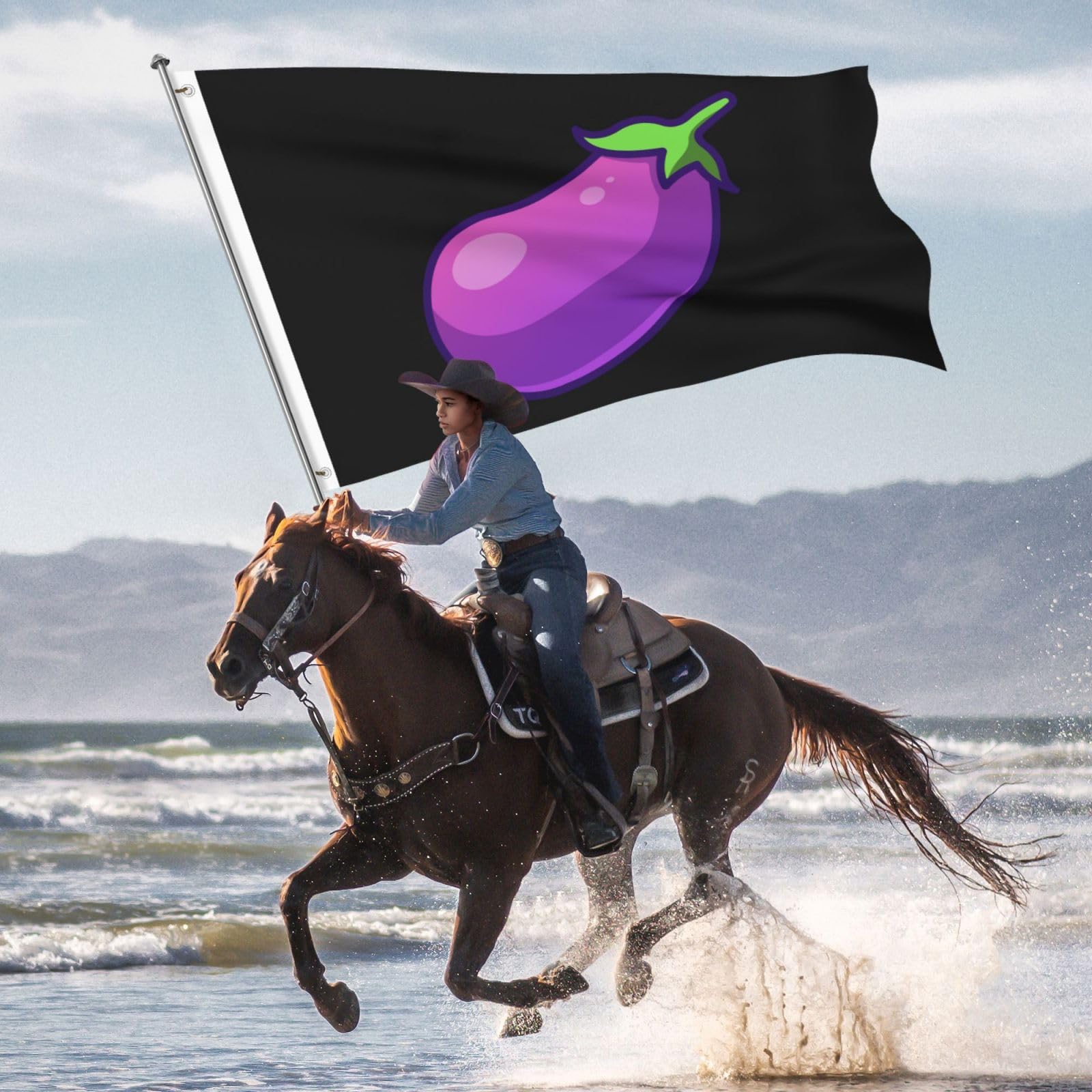 LIFANGMI Double Sided Eggplant Flag 5x8 FT Outdoor Flags Banners