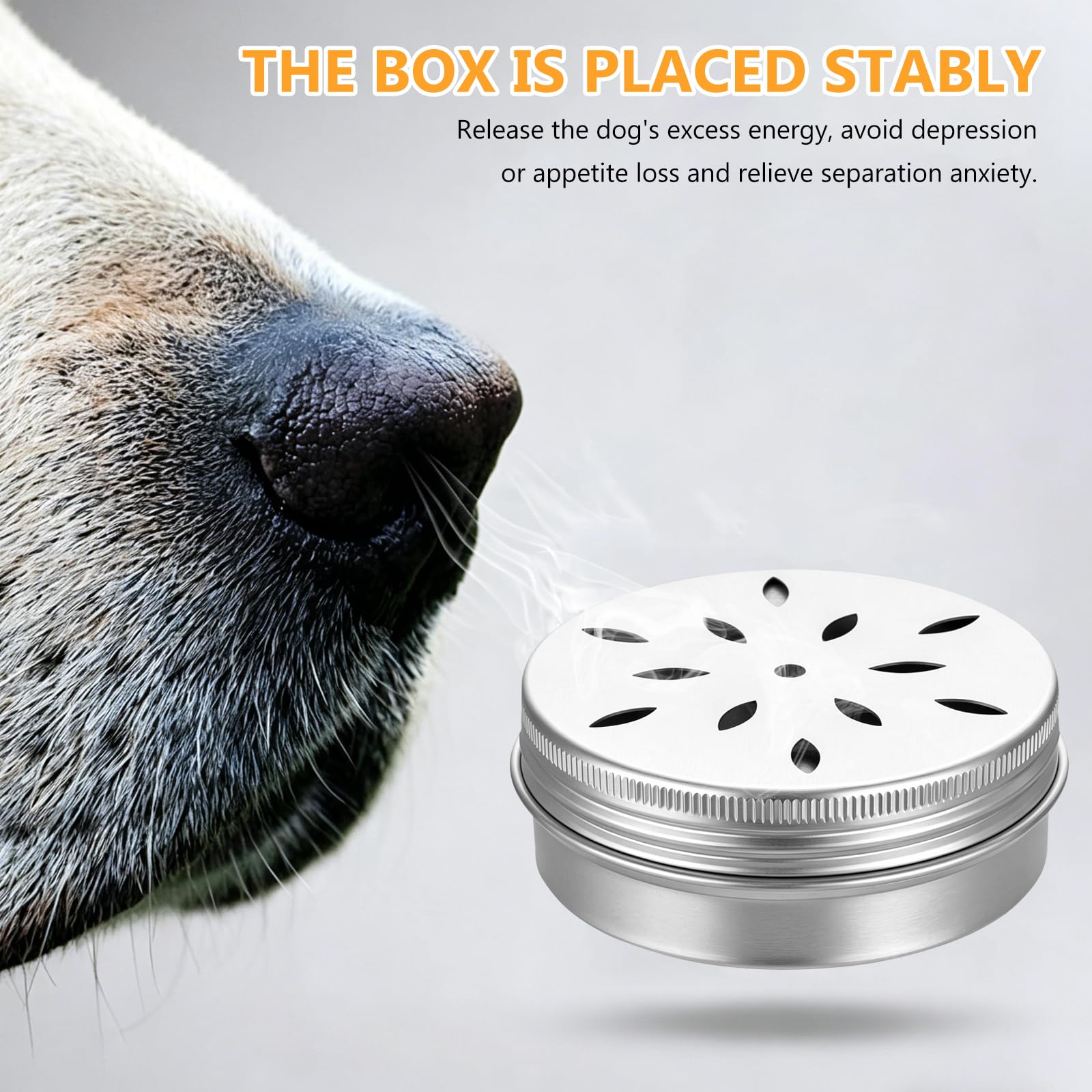 12 Pcs Récipients à Odeur de 60 ML pour Chiens de Détection, Boîte d'Entraînement Olfactif pour Chiens, Boite a Odeur Chien, Accessoires de Dressage et de Sport Canin