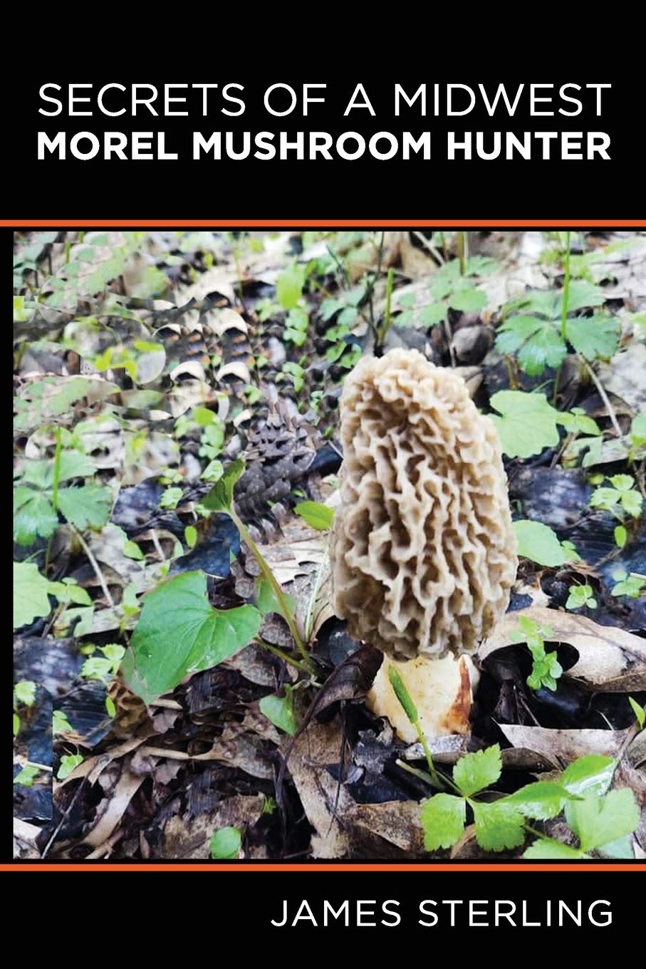 Independently Published Secrets of a Midwest Morel Mushroom Hunter