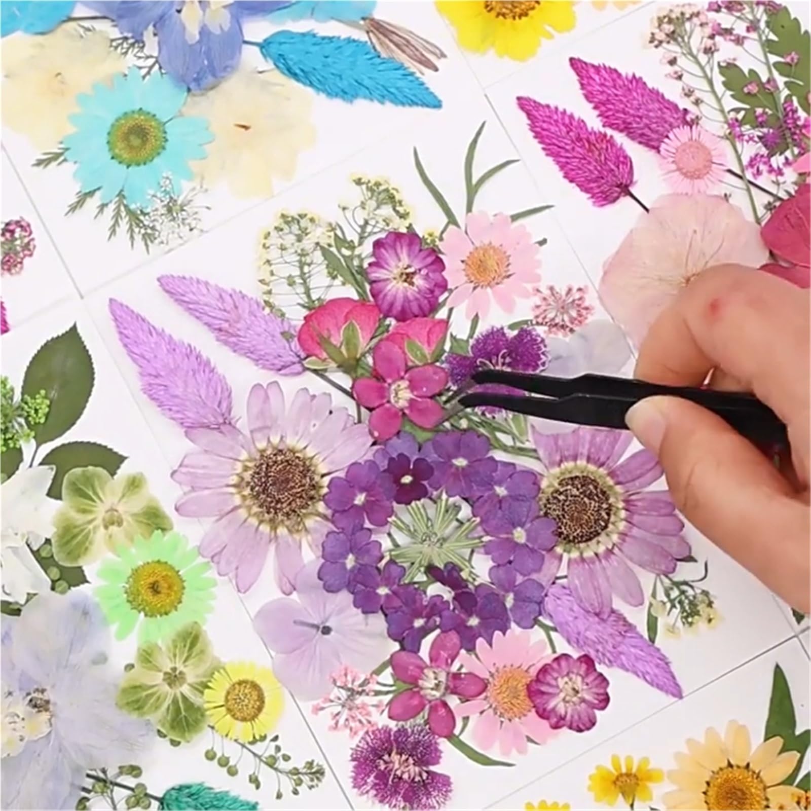 Fiori Pressati ed Essiccati 2 pezzi di fiori pressati misti