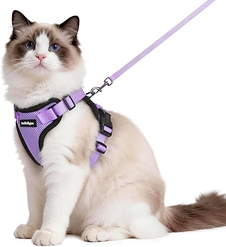 Miniatura 72 de rabbitgoo Cat Harness and Leash for Walking, Escape Proof Soft Adjustable Vest Harnesses for Cats, Easy Control Breathable Reflective Strips Jacket