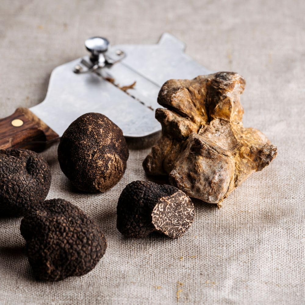 Pergola Tartufi - Tartufo Nero Uncinato Fresco 100g, Qualità Pregiata - Aroma Intenso per Piatti Gourmet e Condimenti Esclusivi, Ideale per Pasta e Risotti