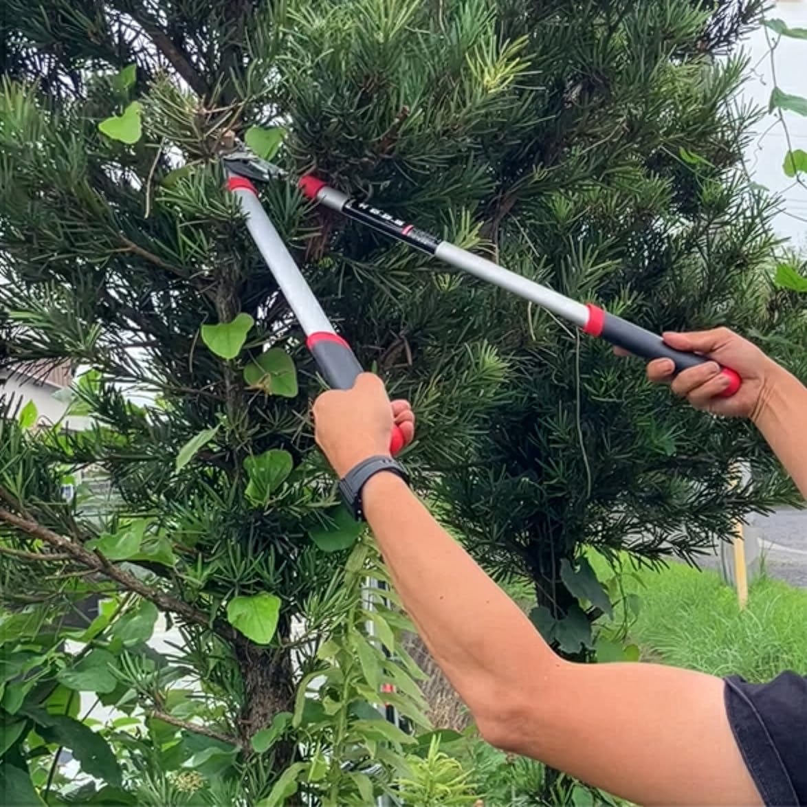Amazon | 大進 太枝切鋏 アルミパイプ柄 DG-K005 剪定ばさみ 園芸