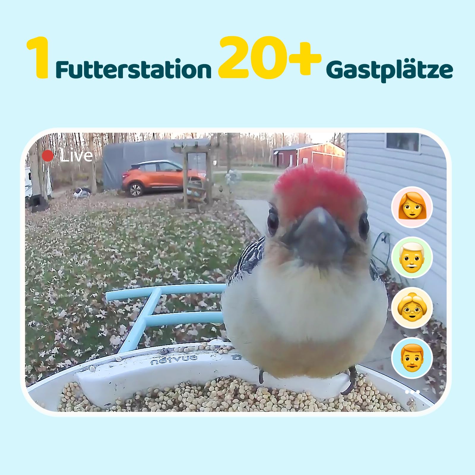 NETVUE by Birdfy Comedero Pajaros Inteligente con Cámara, Comedero Pajaros Exterior, Casita Pajaros con Cámara, Captura Automática de Videos de Aves, Reconocimiento AI de Especies de Aves