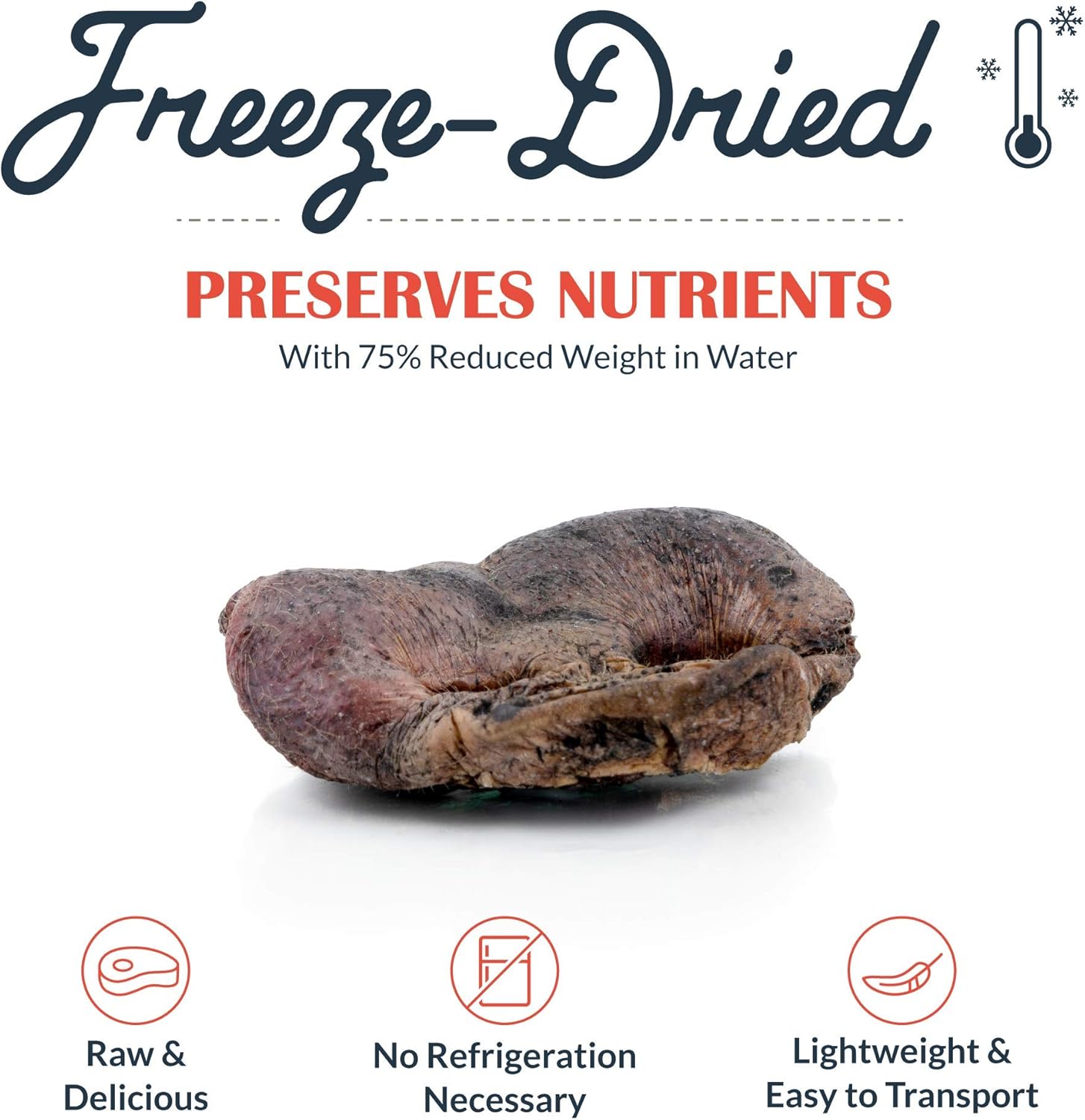 Flourish Freeze-Dried Raw Pet Treats for Dogs, Pig Snout Chews (4 Count)