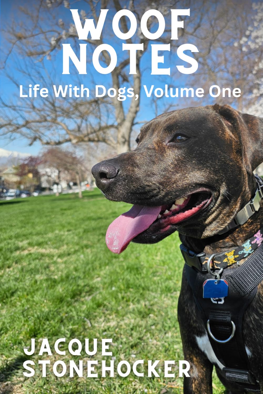 WOOF NOTES: Life With Dogs, Volume One