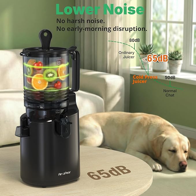 Extractor Jugos Prensado Frío Boca Ancha 6 Pulgadas 110V 150W miniatura 7