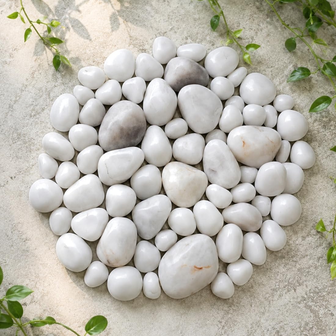 MASON HOME Pebbles - White Polished Stones - Set of 120pcs | Fish Tank - Pot - Planter - Aquarium |Home - Office - Café - Hotel | Décor - Modern - Long Lasting - Reusable | Bathroom - Garden - Balcony-image-35