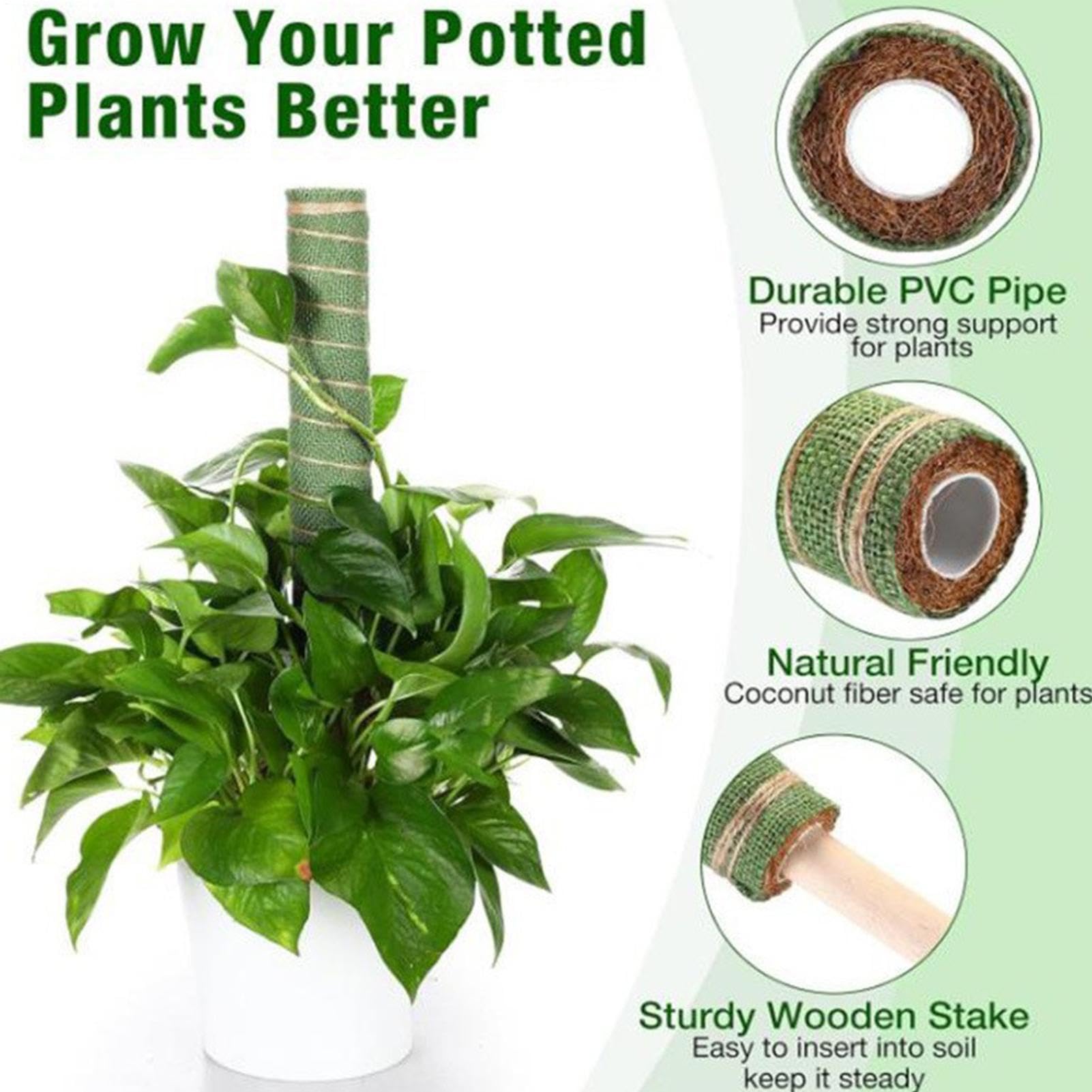 Tuteur pour Monstera Outil de jardinage réutilisable à absorption d'eau | Tuteurs de Support pour s Adapté à l'Intérieur et l'Extérieur Pothos Philodendron Pot Jardinière Balcon Terrasse Jardin