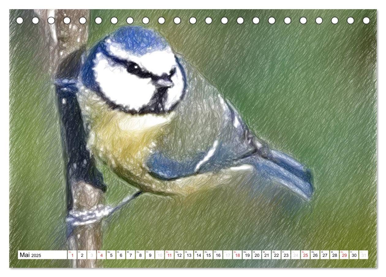 Schottlands Vogelwelt - Ein Porträt in Zeichnungen (Tischkalender 2025 DIN A5 quer), CALVENDO Monatskalender: Dieser Kalender ist ein Streifzug durch ... in farbigen Zeichnungen (CALVENDO Natur)