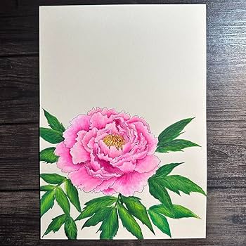 Amazon.co.jp: B5サイズ 牡丹 ボタニカルアート アクリル絵の具