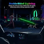 LED Feuille de chien, lumière & Feuille de chien allumée rechargeable, 7 Modes d'éclairage, Poignée rembourrée, laisse lumineuse réfléchissante double-câlin, 360 Clip pivotant pour la marche de nuit, petits à grands chiens (4FT)