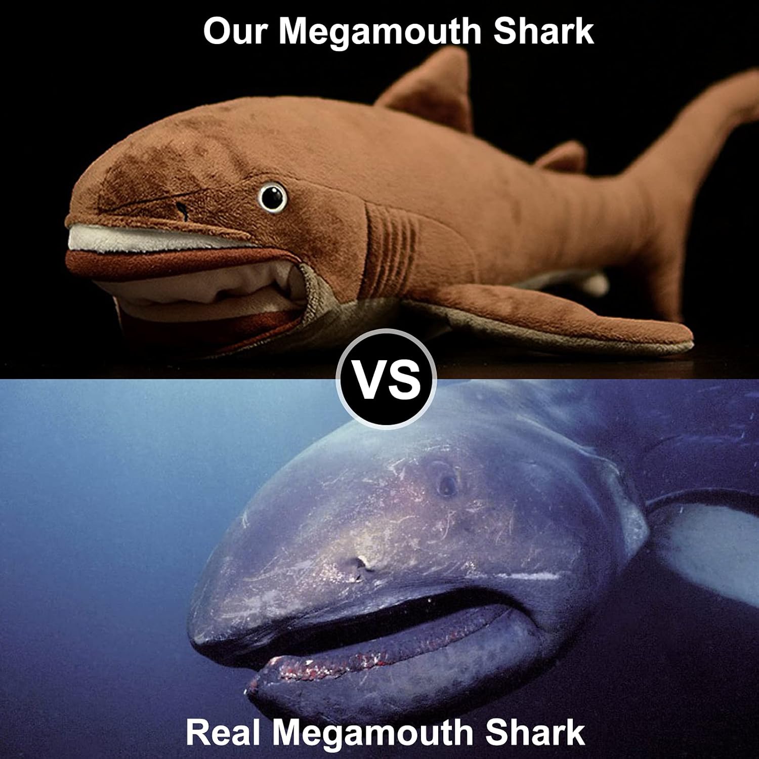 ZHONGXIN MADE Simulation Megamouth Shark Plush Toy - Realistic 20" Long Lifelike Whale Stuffed Toys, Super Soft Realistic Sea Simulation Shark Plush Gift Collection for Kids Children