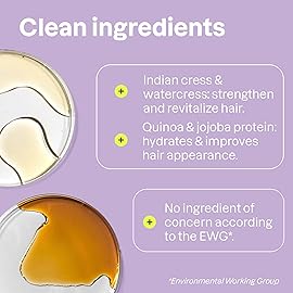 ATTITUDE Moisture Rich Hair Shampoo, EWG Verified, For Dry and Damaged Hair, Naturally Derived Ingredients, Vegan, Plant Based, Quinoa and Jojoba, 8 Fl Oz