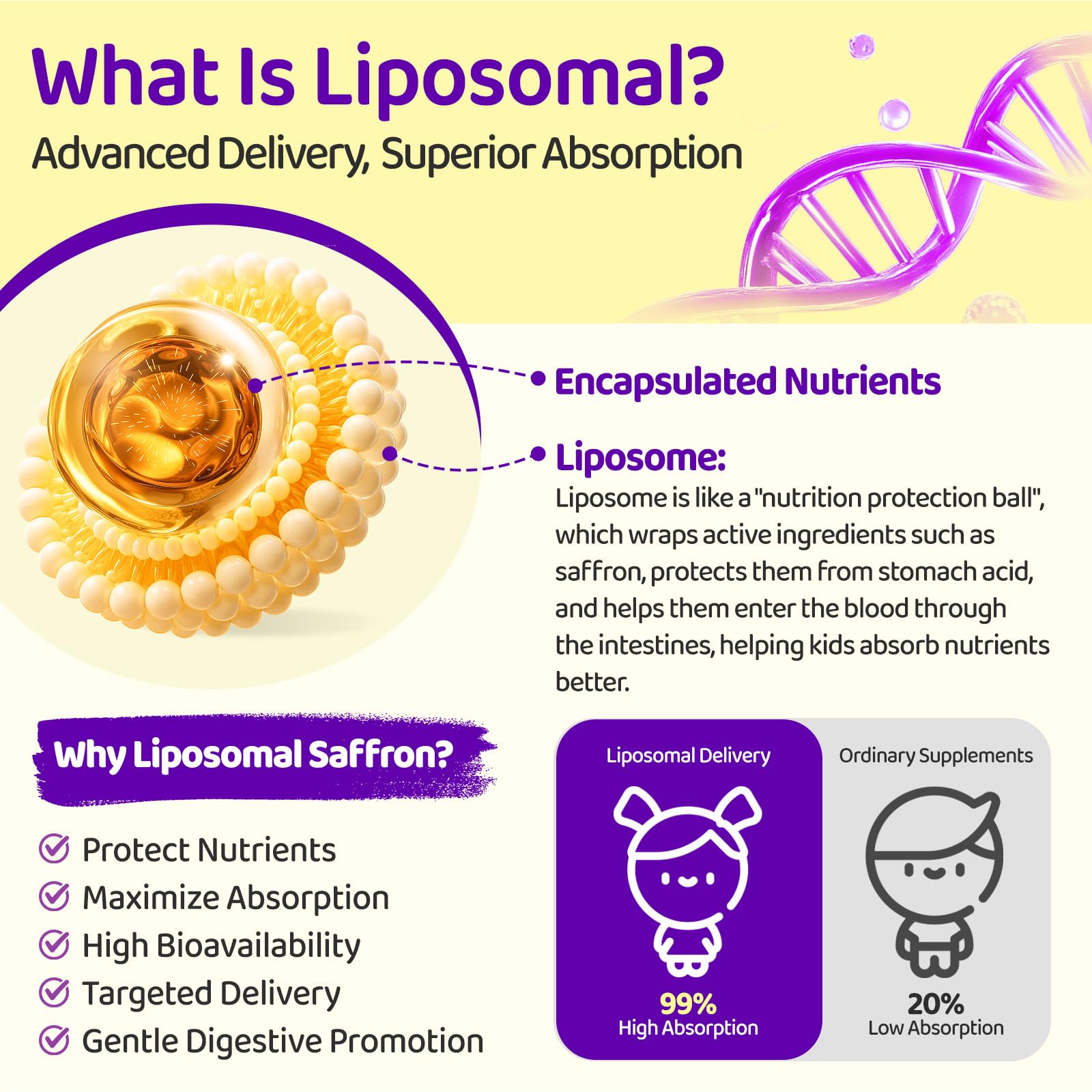 Liposomal Saffron Drops for Kids, Organic Saffron Extract Supplements with Holy Basil, Rosemary for Focus, Attention & Brain Support, Vegan, Alcohol-Free, Strawberry Flavor, 2 FL OZ — Amazon image 2