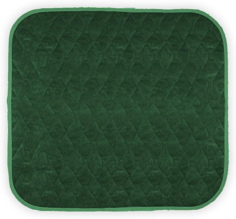 1 Pack Washable Waterproof Seat Protector Pads, 21" x 22" Reusable Seat Cover, Furniture Protection for Protection for Elderly Seniors, Kids, Pets, Ultra Absorbent Pee Pads (Green)