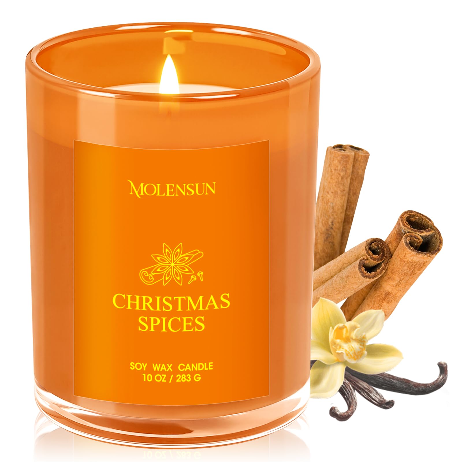 Christmas Spices Candle, 10oz Soy Scented Candle for Home, Christmas Birthday & Holiday Gifts for Women & Men, Long Lasting 50+ Hour Clean Non-Toxic Burn, Elegant Winter & Christmas Home Decor