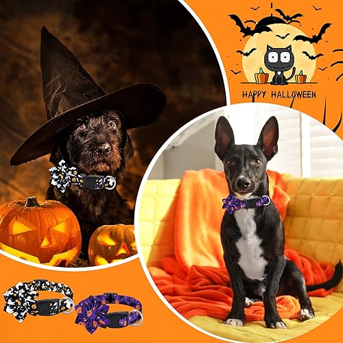 Vista 12 de Silkfly 6 collares de perro de vacaciones para Halloween, flores, otoño, arce, pavo, calabaza, collar ajustable con hebilla de plástico