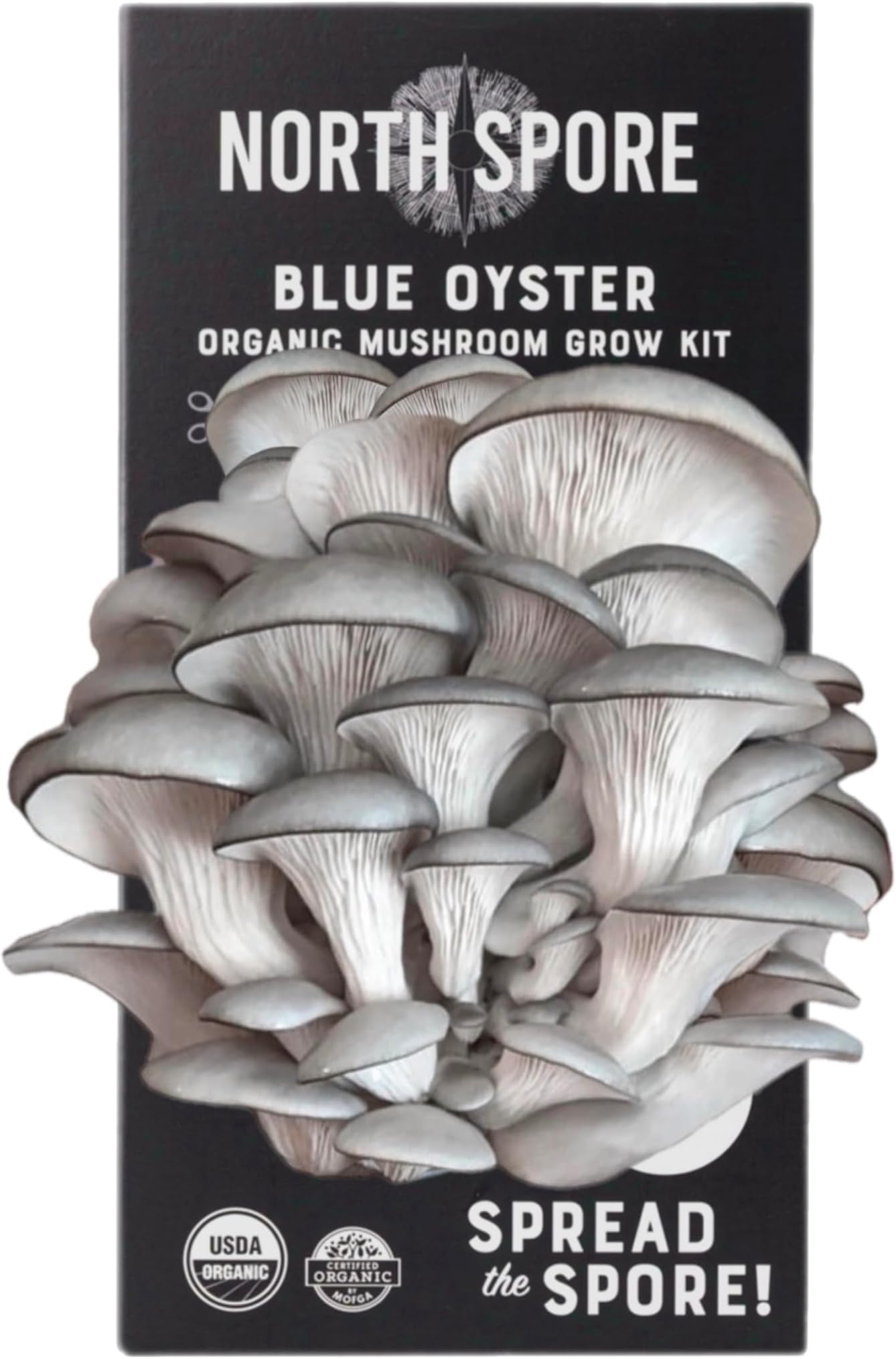 North Spore Organic Blue Oyster Mushroom Spray & Grow Kit (4 lb) | Beginner Friendly & Easy to Use | USDA Certified Organic, Non-GMO | Handmade in Maine, USA