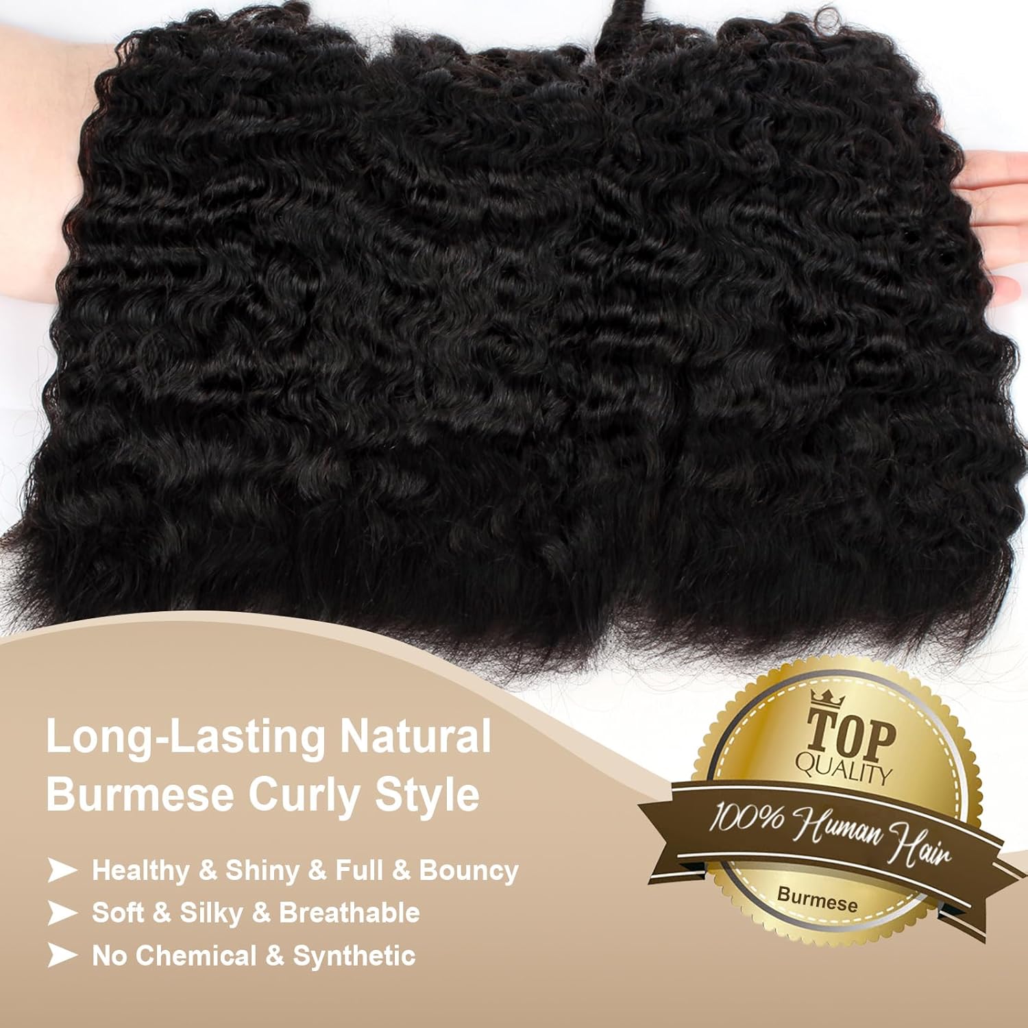 13x6 Frontal Burmese Curly Human Hair HD Transparent Ear to Ear Lace Frontal Closure Pre Plucked With Baby Hair Free Part 100% Virgin Human Hair Natural Black 14 Inch