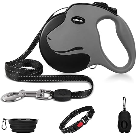 walkabout retractable dog leash
