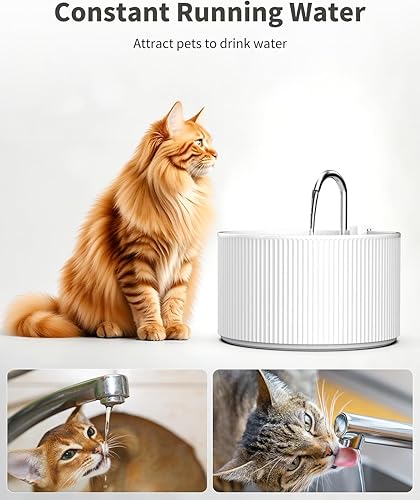 Miniatura 5 de Fuente de agua de cerámica para gatos de 74 oz2.2 L, fuente automática para beber mascotas para gatos de interior y perros pequeños, dispensador de