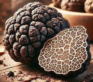 Black Truffle Mushroom Spores – Tuber Melanosporum | Gourmet Delicacy | Highly Prized for Rich & Culinary Excellence