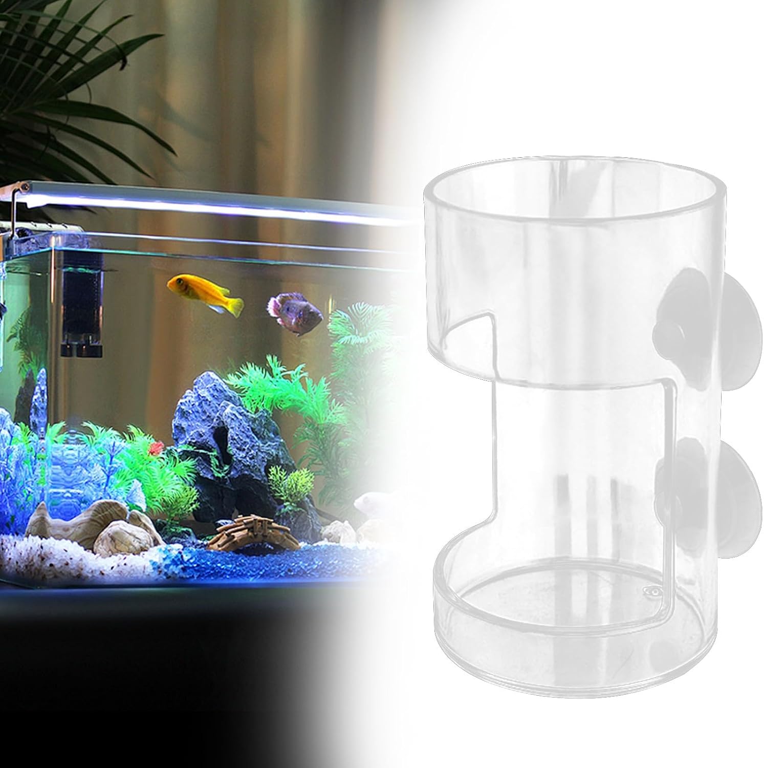Fish Feeder for Aquarium Tank Dish Tray with Suction Cup, Acrylic Feeding Tube Fish Food Holder, Turtle Shrimp Aquarium Feeder for Tank (Round)