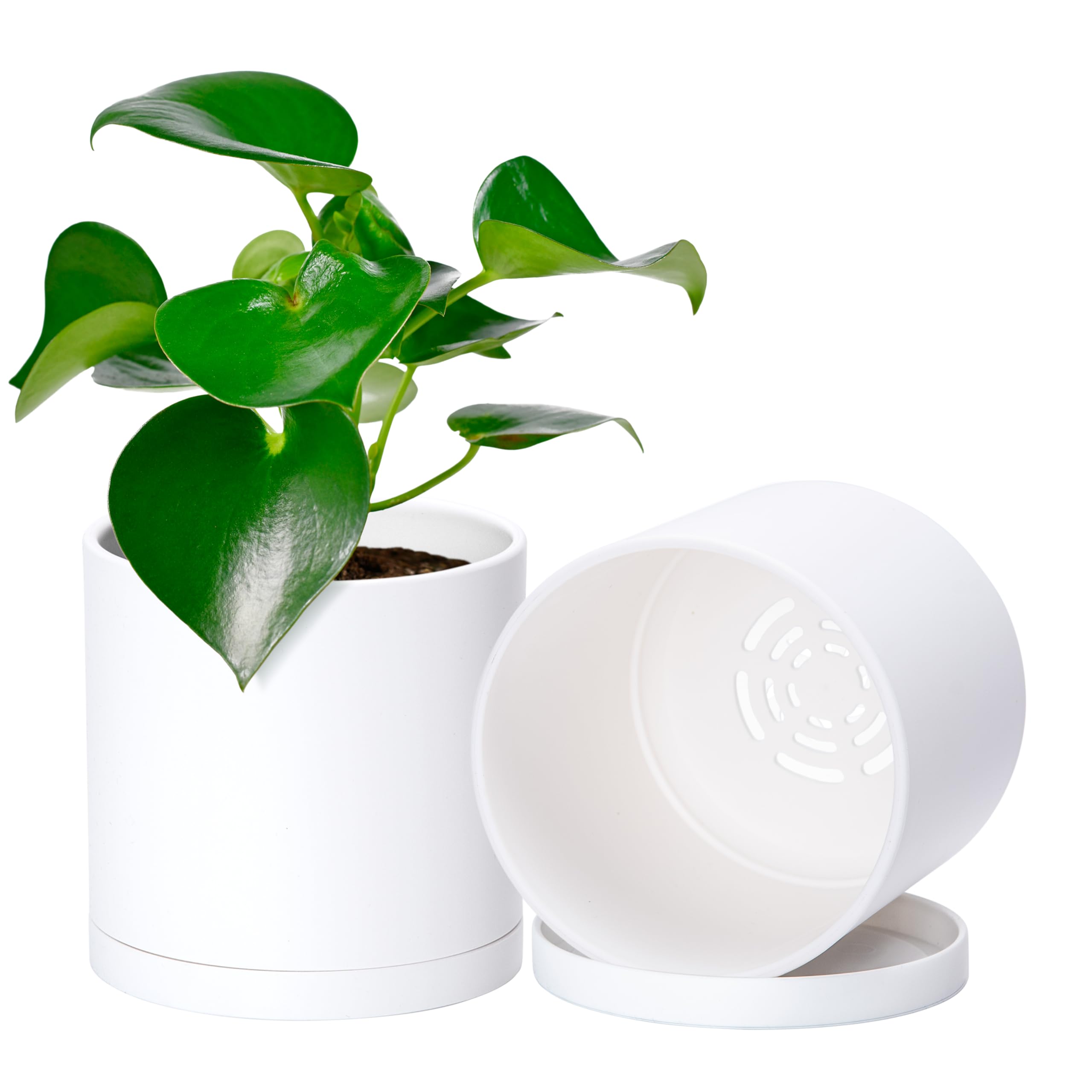 D'vine Dev 2 Pack 5 Inch Modern Plastic Plant Pots