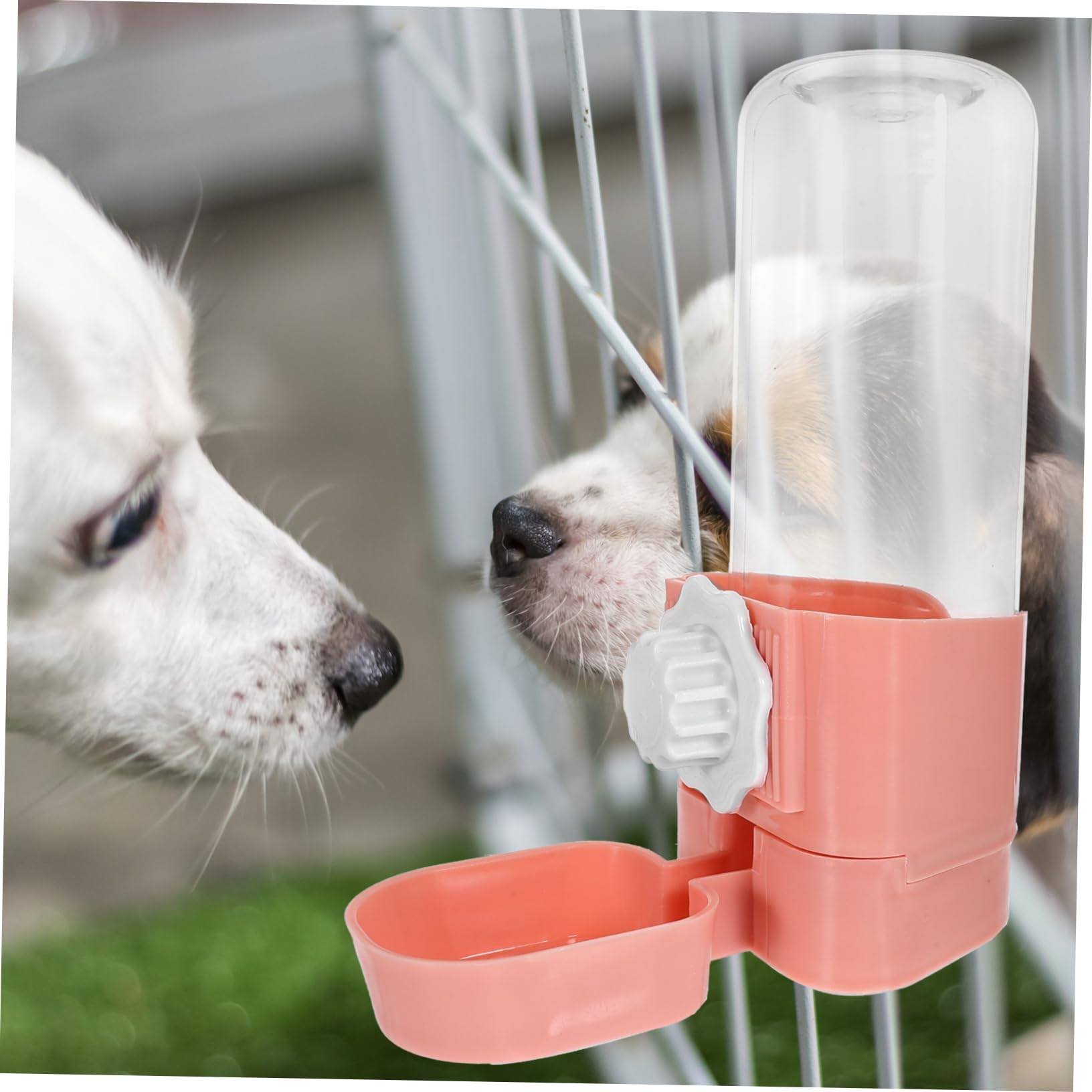 BESPORTBLE 3piezas Botella Dispensadora De Agua para Conejos y Roedores Bebedero Automático Sin Fugas para Hámsters y Diseño Práctico y